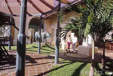 Iberostar Hacienda Dominicus 8